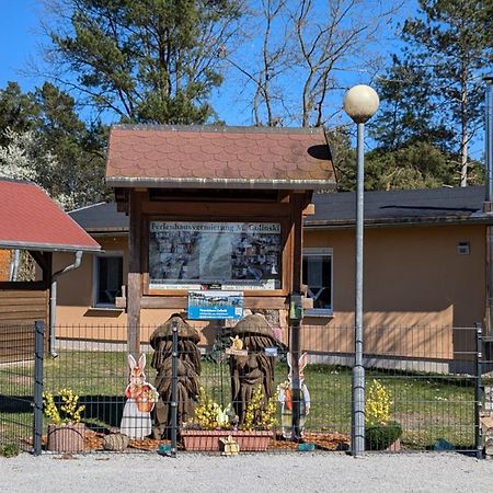 Spreewaldhaeuser Golinski Mit Kamin Am Neuendorfer See Alt Schadow Zewnętrze zdjęcie