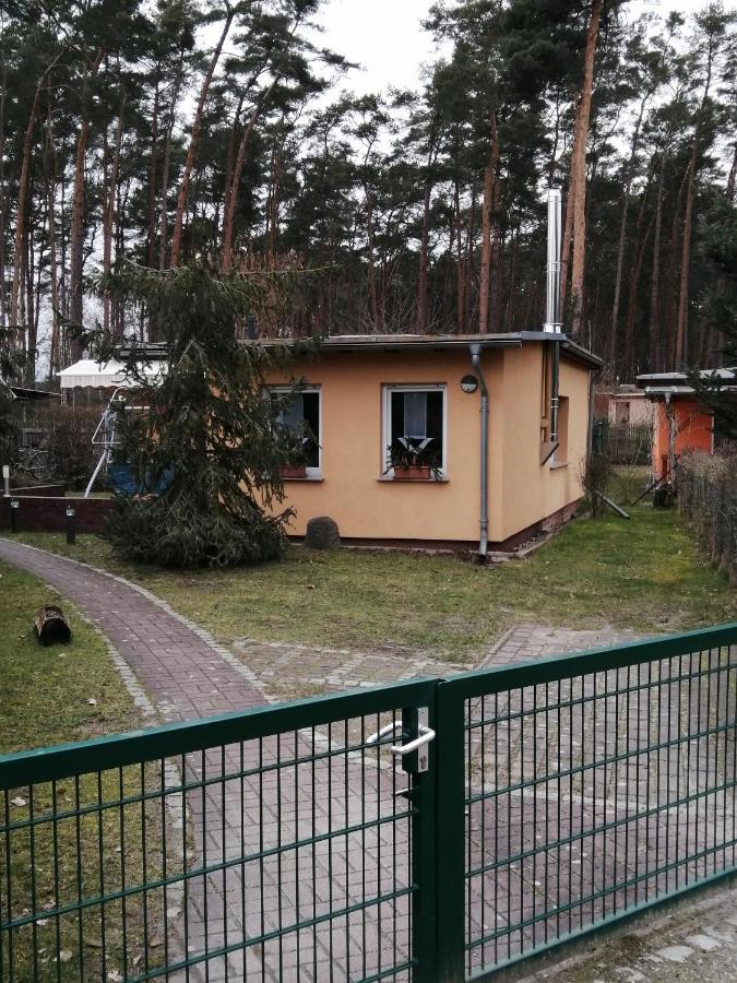 Spreewaldhaeuser Golinski Mit Kamin Am Neuendorfer See Alt Schadow Zewnętrze zdjęcie