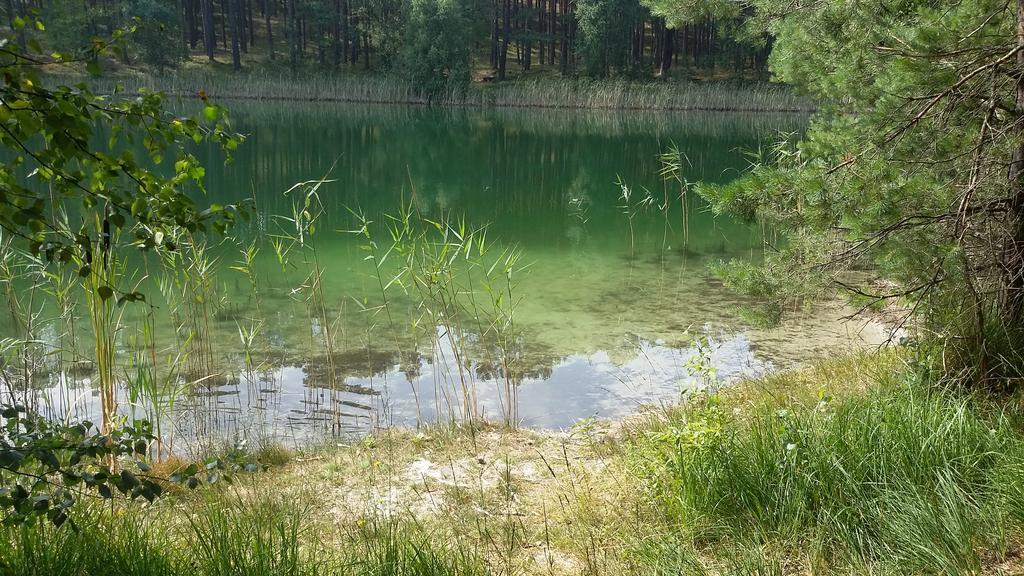 Spreewaldhaeuser Golinski Mit Kamin Am Neuendorfer See Alt Schadow Zewnętrze zdjęcie